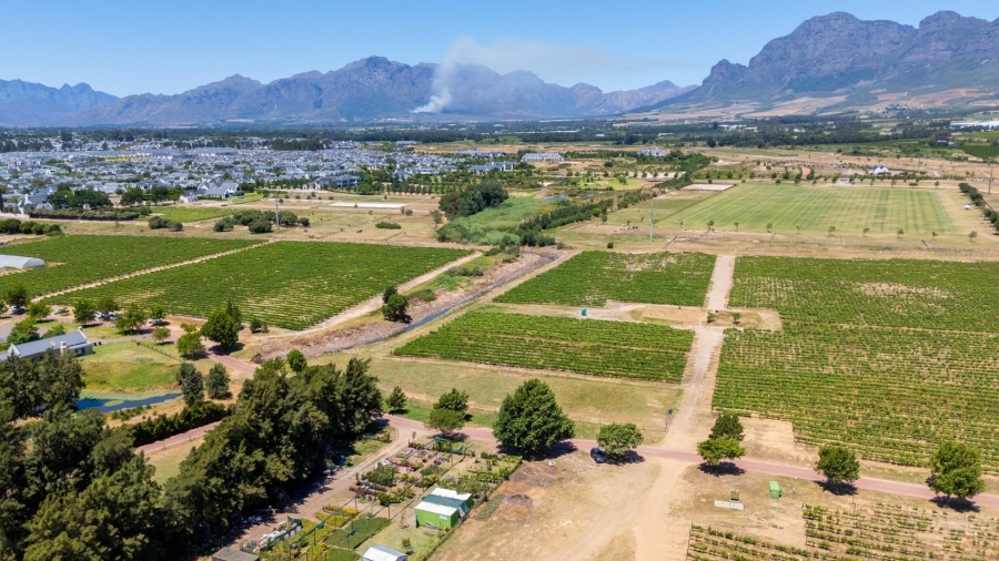 0 Bedroom Property for Sale in Val De Vie Estate Western Cape